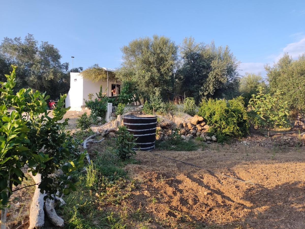 Corfu Oasis Studio Neochorakion Exterior photo